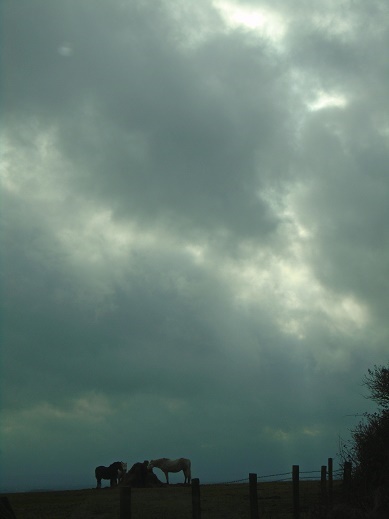 e0010856_11284927.jpg