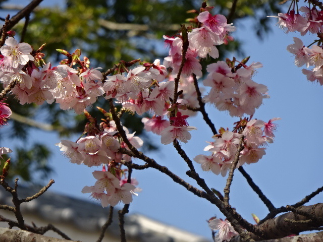 a0241761_21455819.jpg