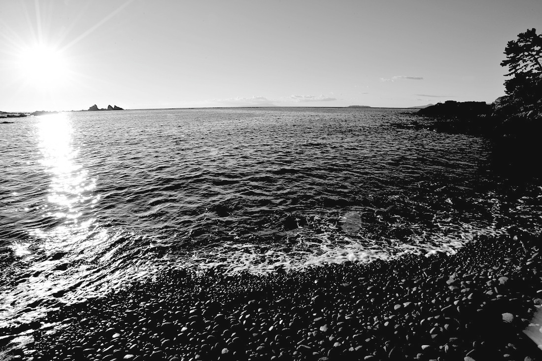 d0175768_14565722.jpg