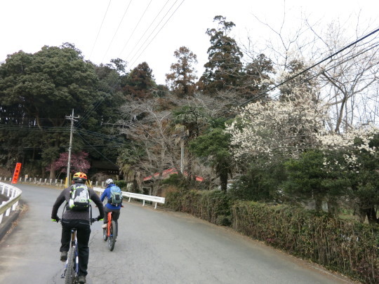 b0144174_21421898.jpg