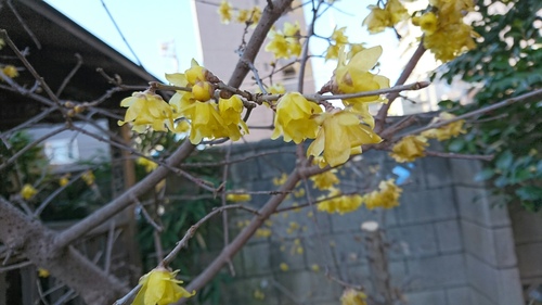 b0224081_17542137.jpg