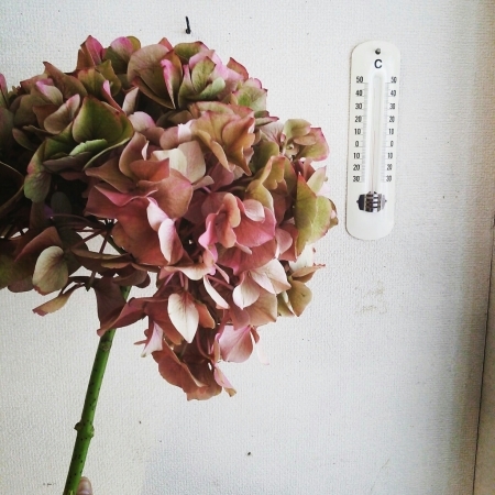 b0245883_00041612.jpg