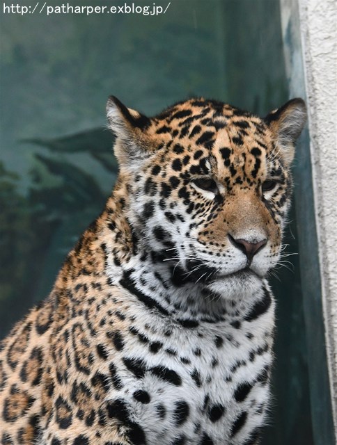 a0052986_7252494.jpg