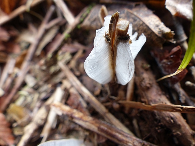 f0357487_22132578.jpg