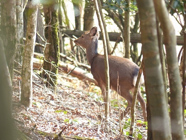 f0357487_22170419.jpg
