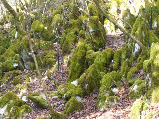 f0357487_22173612.jpg