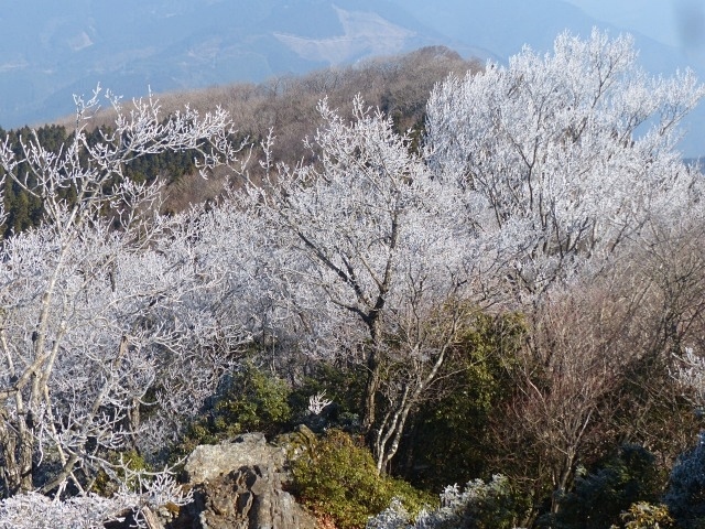 f0357487_22225943.jpg