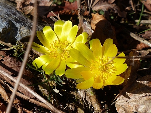 f0357487_22274859.jpg