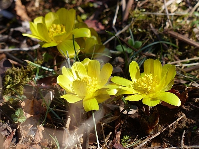 f0357487_22292953.jpg