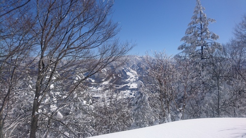 e0015490_19475322.jpg