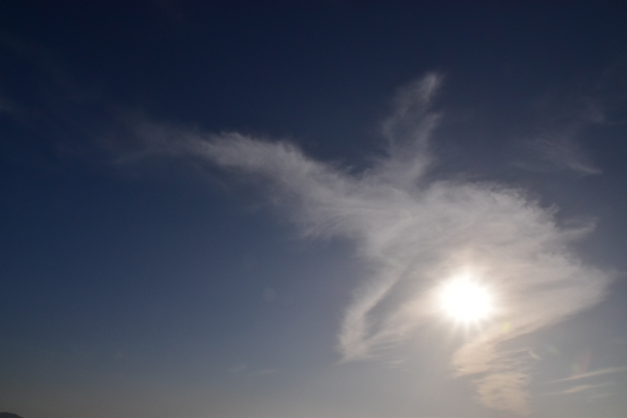 c0049299_22203461.jpg