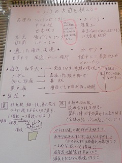 c0152002_17352953.jpg