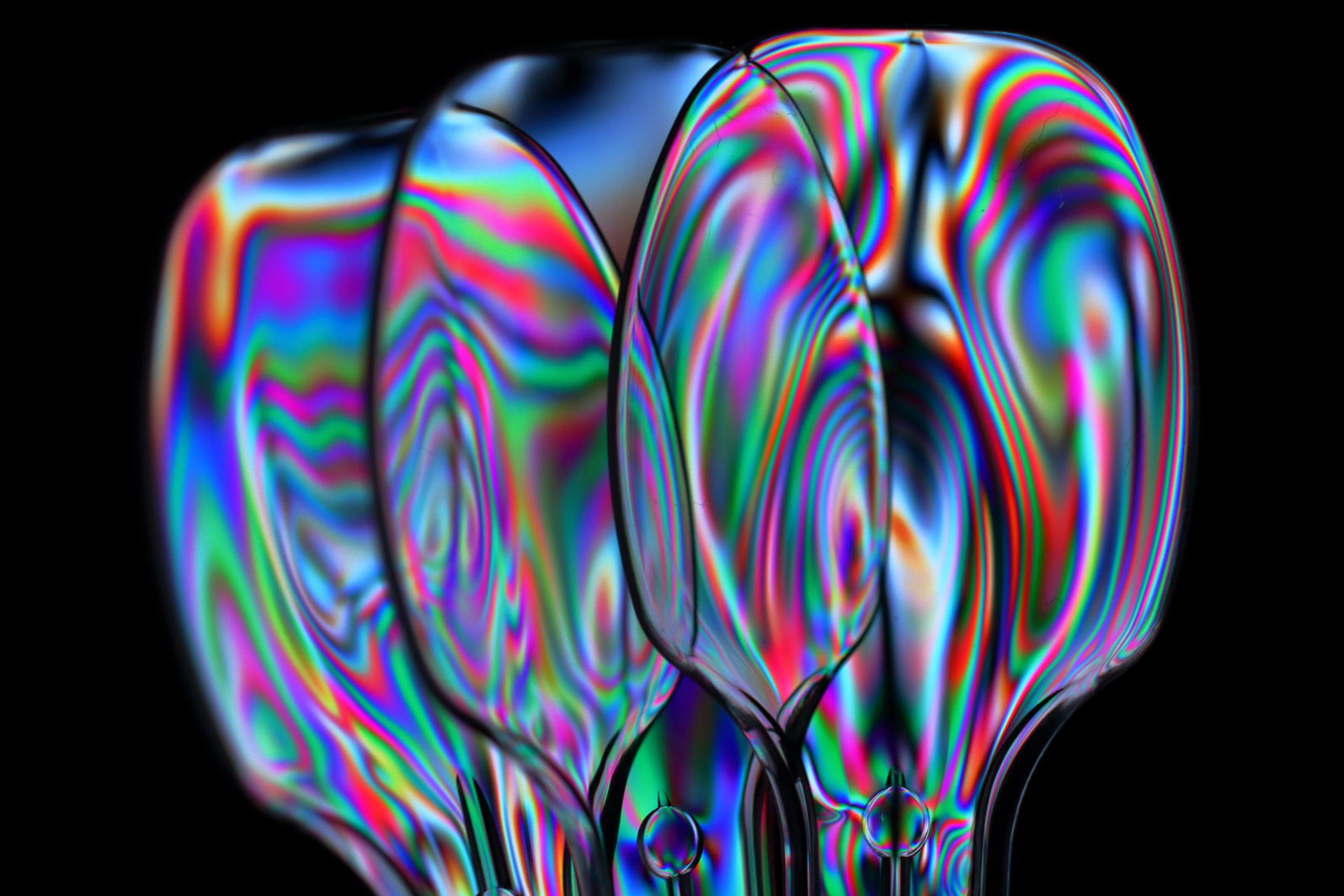 a0155104_23554156.jpg