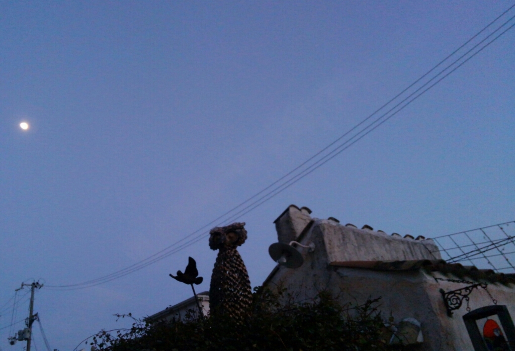 b0160614_22193637.jpg