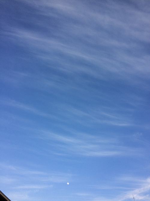 e0255717_1801097.jpg