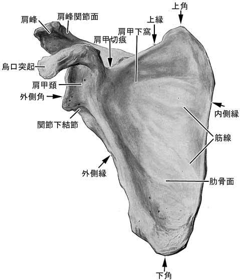 b0037220_08570510.jpg