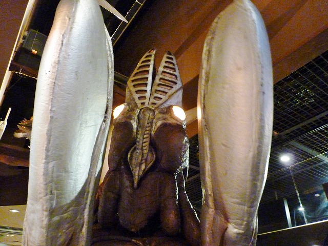 b0166128_1005493.jpg