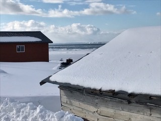c0051529_16525126.jpg