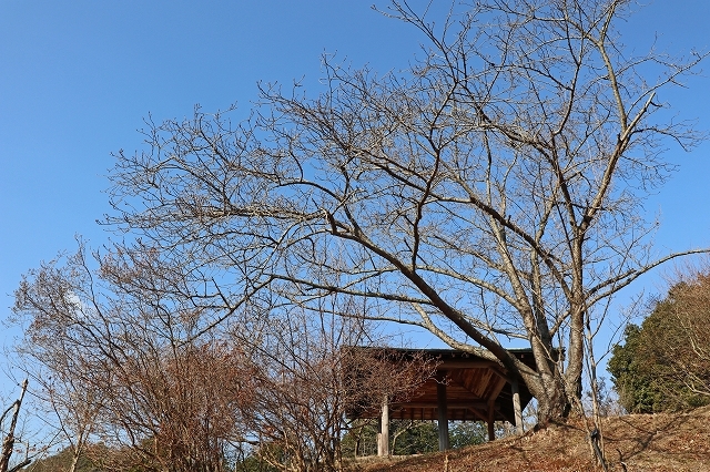 a0242438_20491288.jpg
