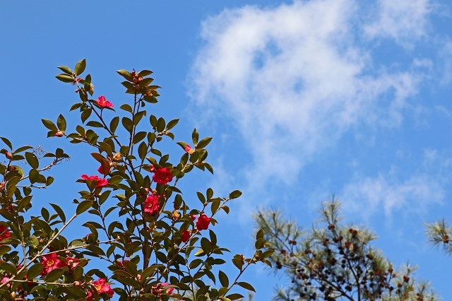 a0242438_20503639.jpg