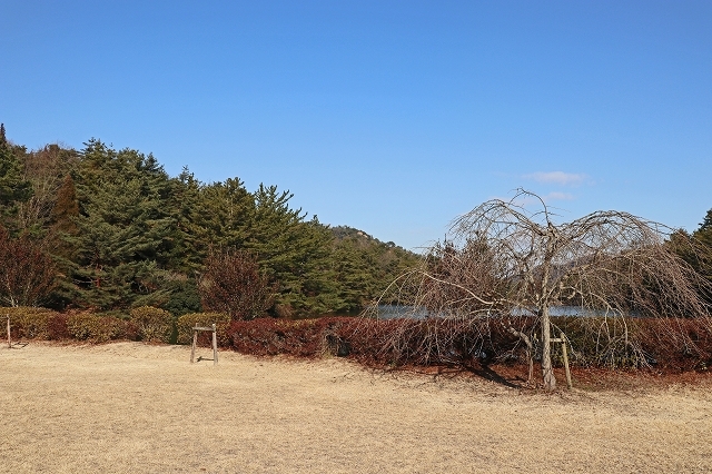 a0242438_20503683.jpg