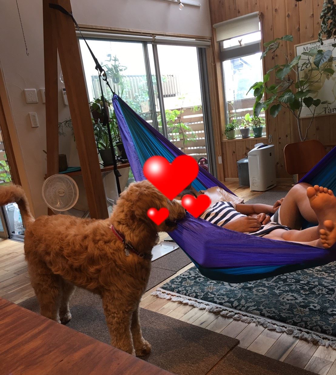 c0152341_901878.jpg