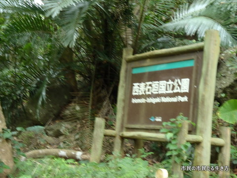 d0182245_23172527.jpg