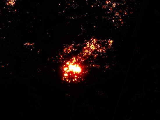 f0130557_10060786.jpg