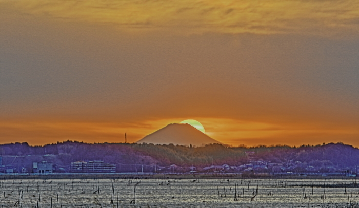 a0150260_23150123.jpg