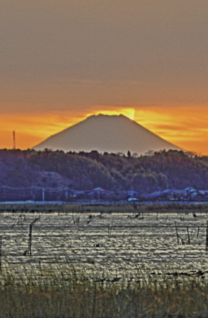 a0150260_23174769.jpg