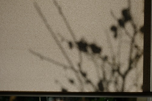 e0225164_16295020.jpg