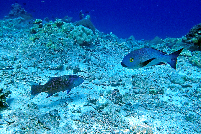 b0137083_21181240.jpg