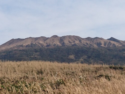 c0204385_08551770.jpg