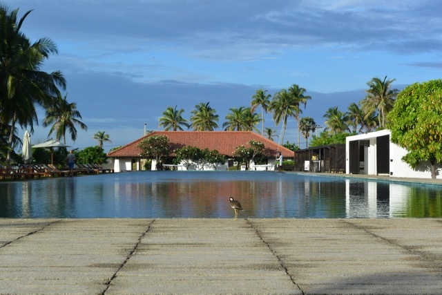 b0195093_11582970.jpg
