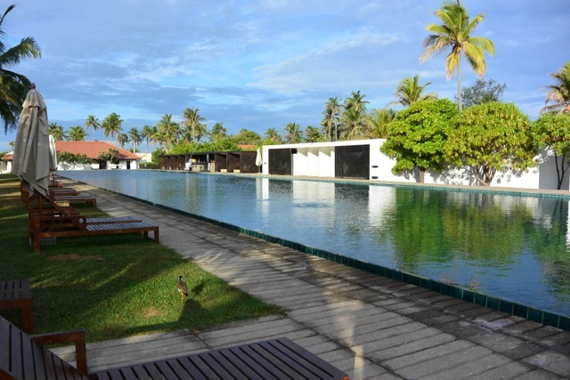 b0195093_11584175.jpg