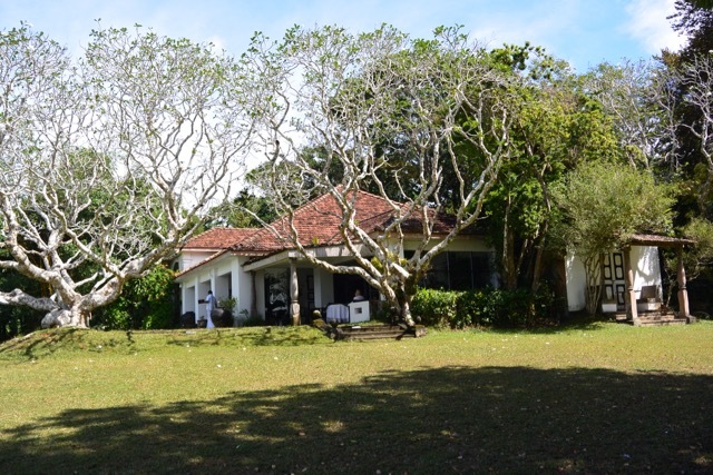 b0195093_11595653.jpg