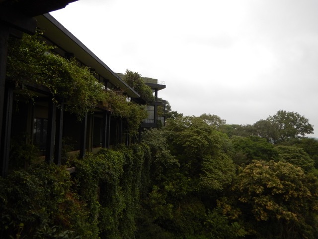 b0195093_12034248.jpg