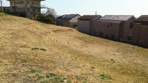 c0128896_12064756.jpg