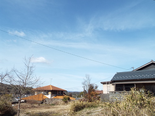 c0108198_15544734.jpg