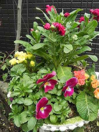 c0152002_17400105.jpg