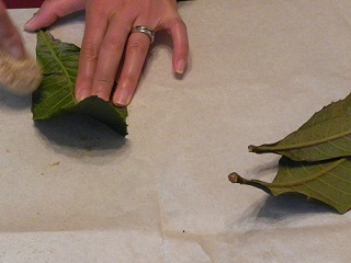 c0152002_17415966.jpg