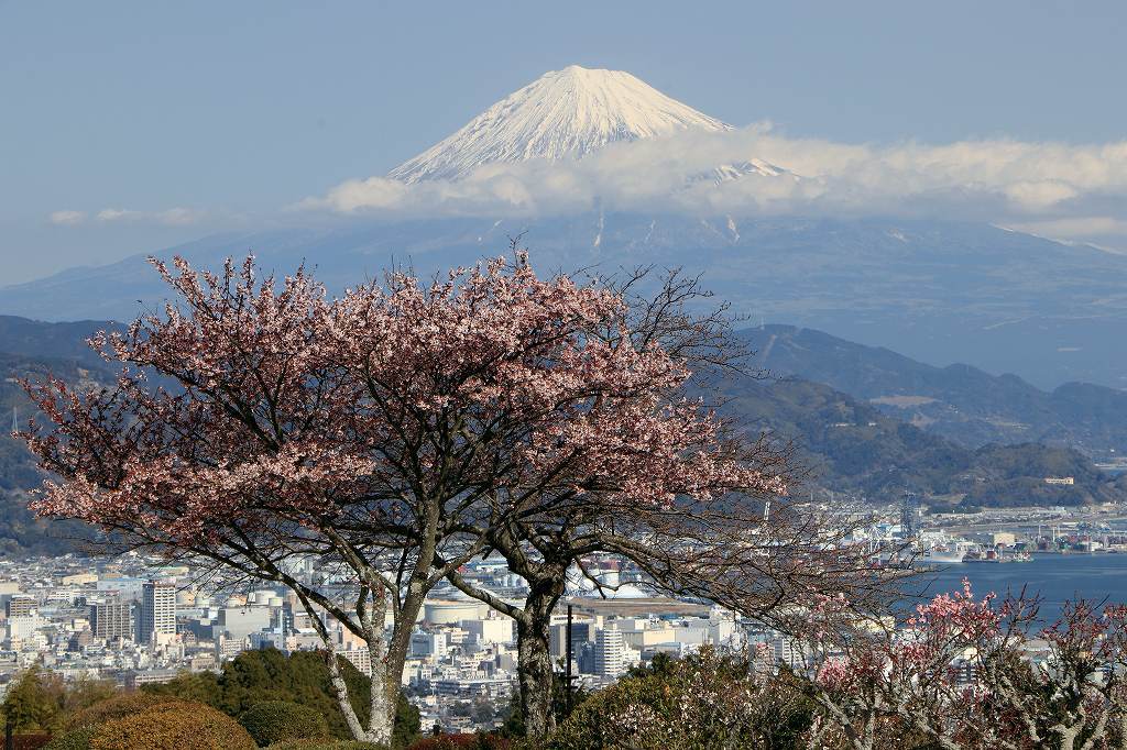 a0188405_19391871.jpg