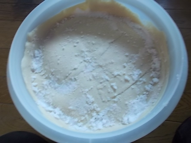 f0316507_16442807.jpg