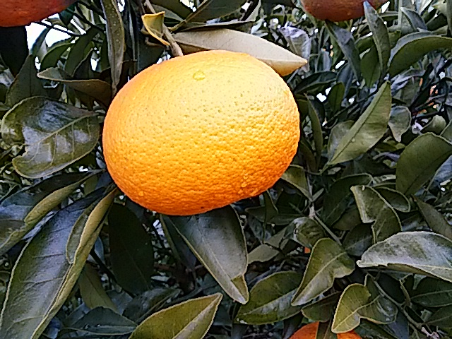 f0231709_1750736.jpg