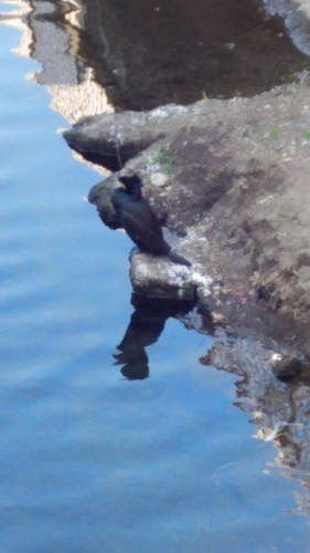 f0030814_12034176.jpg