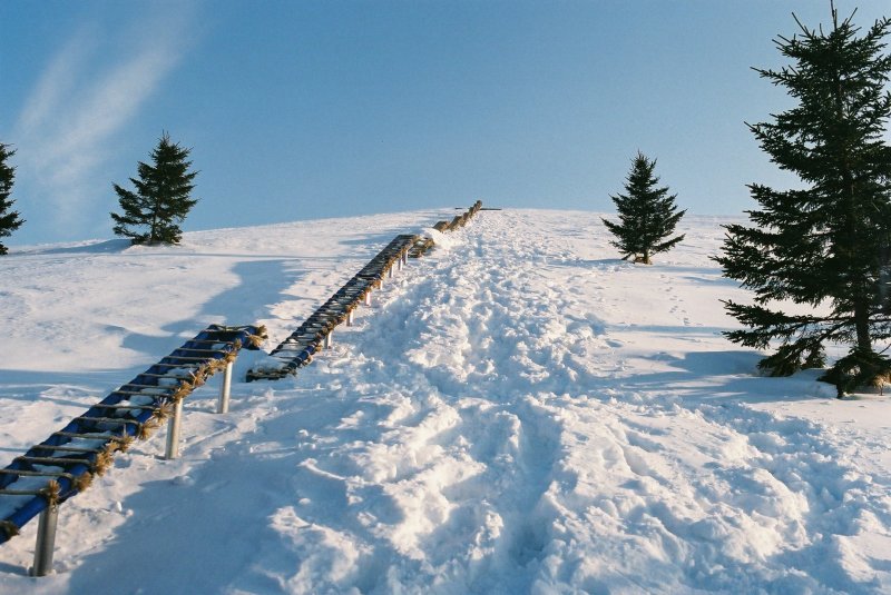 f0362725_17154098.jpg