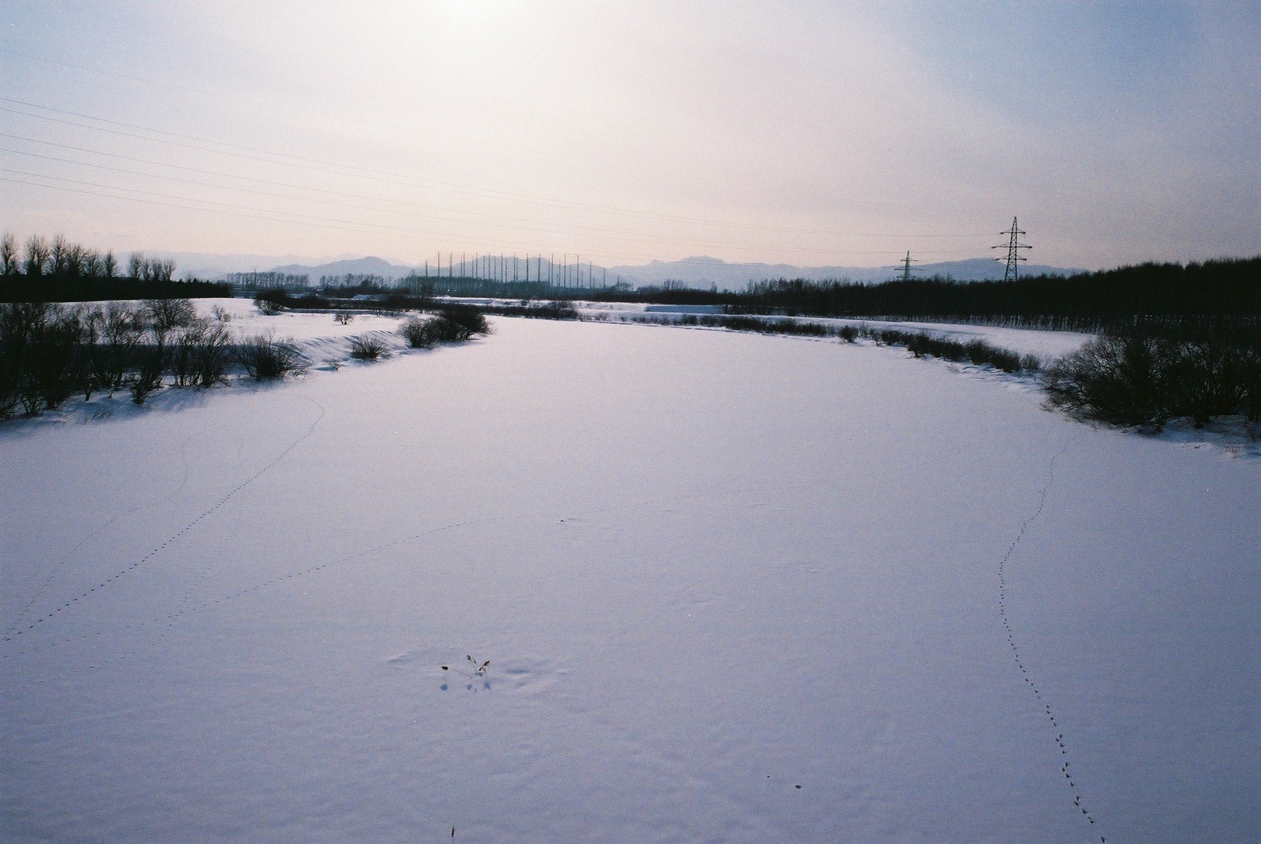 f0362725_17185609.jpg