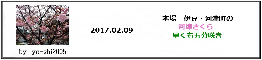 e0033229_17452487.jpg