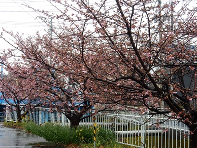 e0033229_184357.jpg