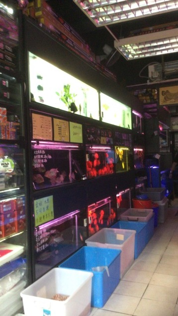 c0103830_15495840.jpg